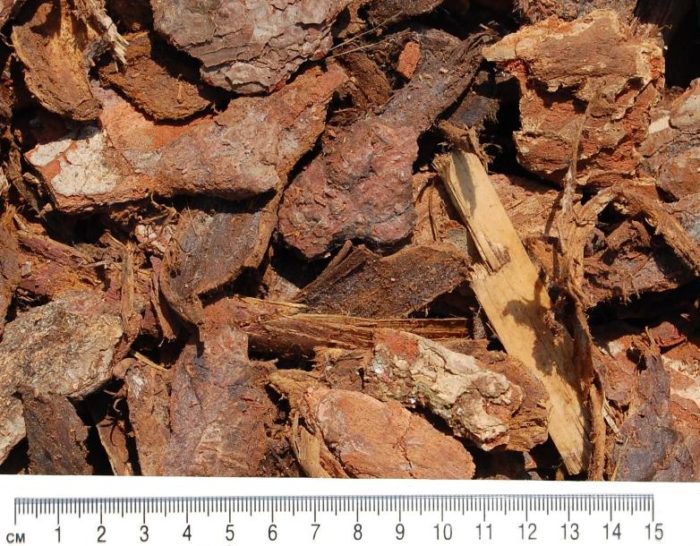 bark nuggets near me bark nuggets near me