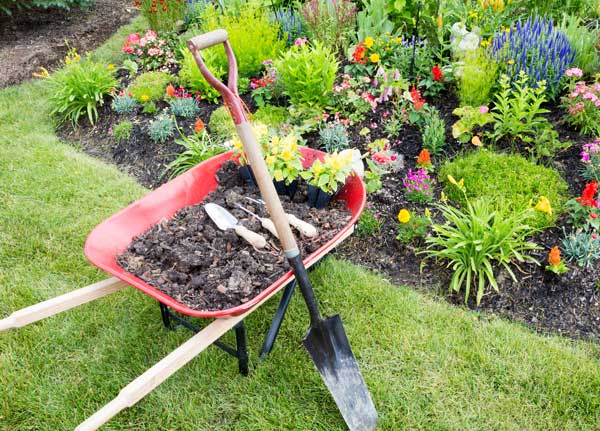 Order Now Wheelbarrow